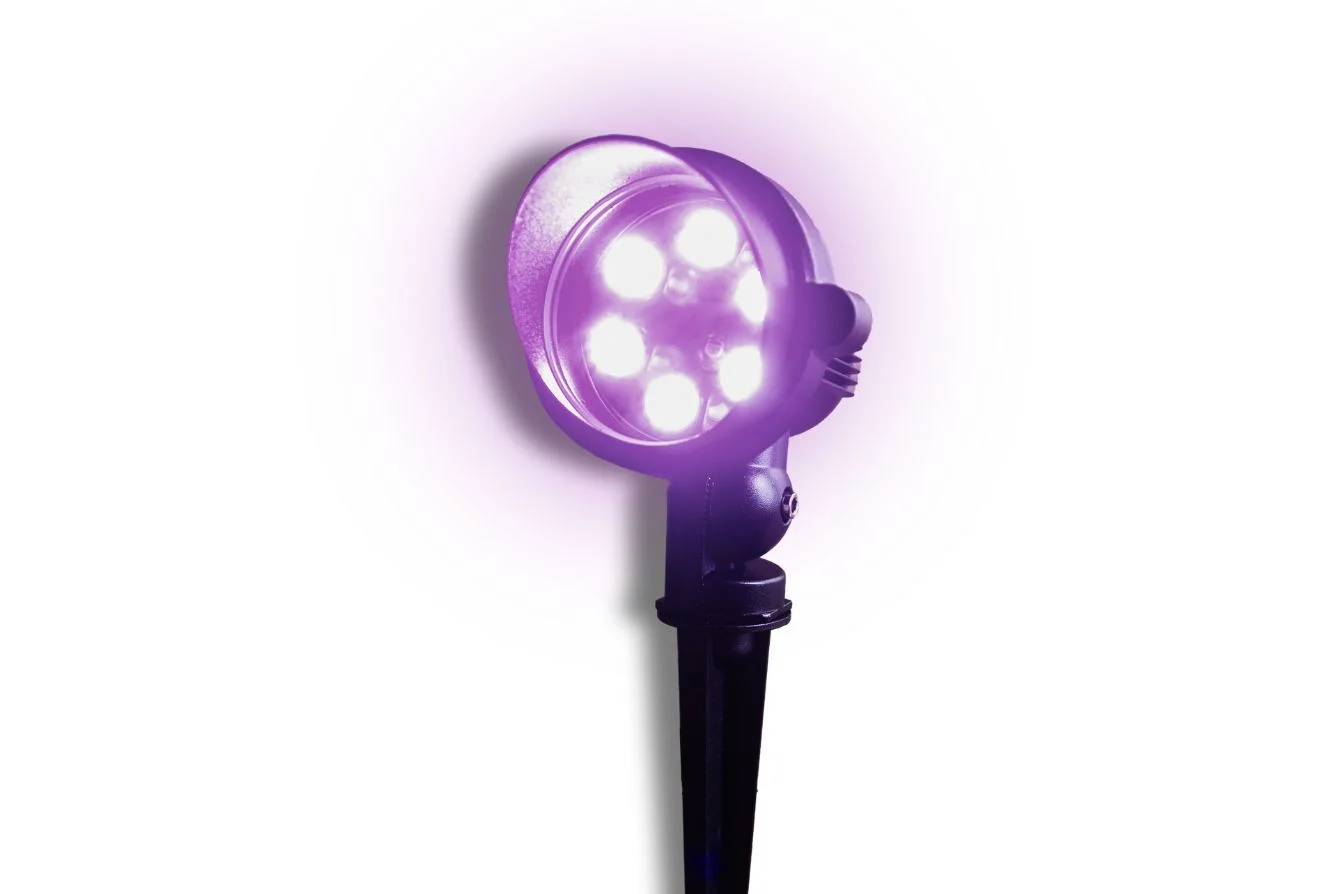 Landscape-light-purple-spotlight