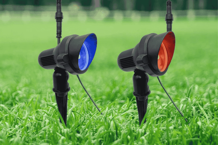 2-spot-lights-in-grass-red-and-blue